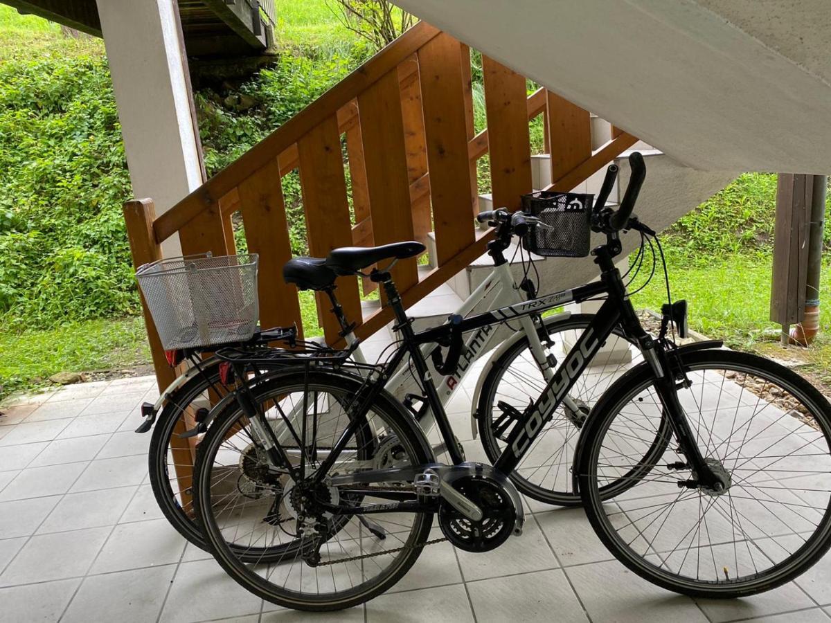 Geschmackvolles Appartement Am Donauradweg Obernzell Eksteriør bilde
